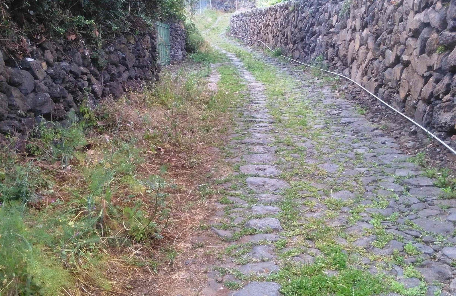 La Asamblea propone medidas para restaurar y poner en valor los caminos tradicionales