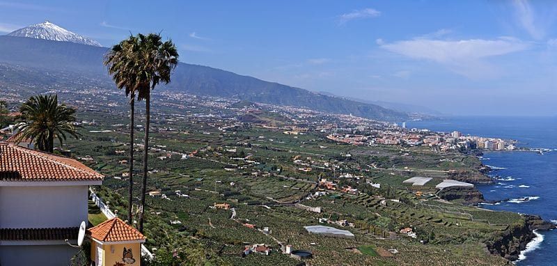 Asamblea apuesta por el impulso y desarrollo por parte del ayuntamiento del sector agrario en La Orotava