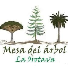 Se denuncia oficialmente la tala de la palmera de Santo Domingo