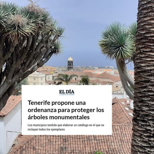 Nuestra denuncia en redes y en medios de comunicación llegó hasta el Cabildo de Tenerife