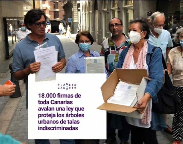 Moción en defensa del Patrimonio Vegetal y Natural de La Orotava
