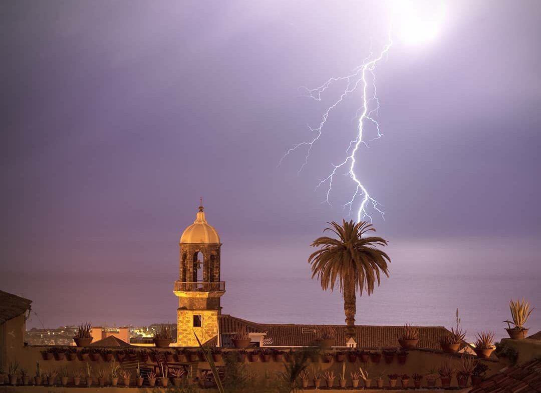 Moción en defensa del Patrimonio Vegetal y Natural de La Orotava