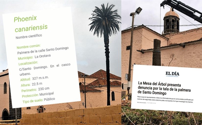 Moción en defensa del Patrimonio Vegetal y Natural de La Orotava