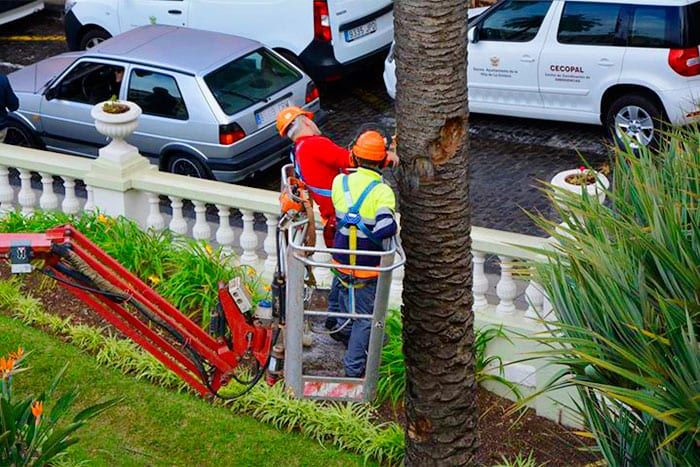 PRENSA: La Asamblea lamenta la prorroga del contrato de mantenimiento de jardines