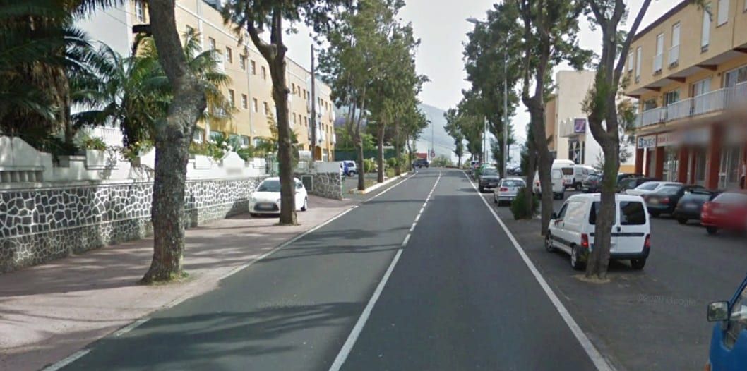 El Cabildo eliminará once árboles de la carretera TF-21 en el término municipal de La Orotava