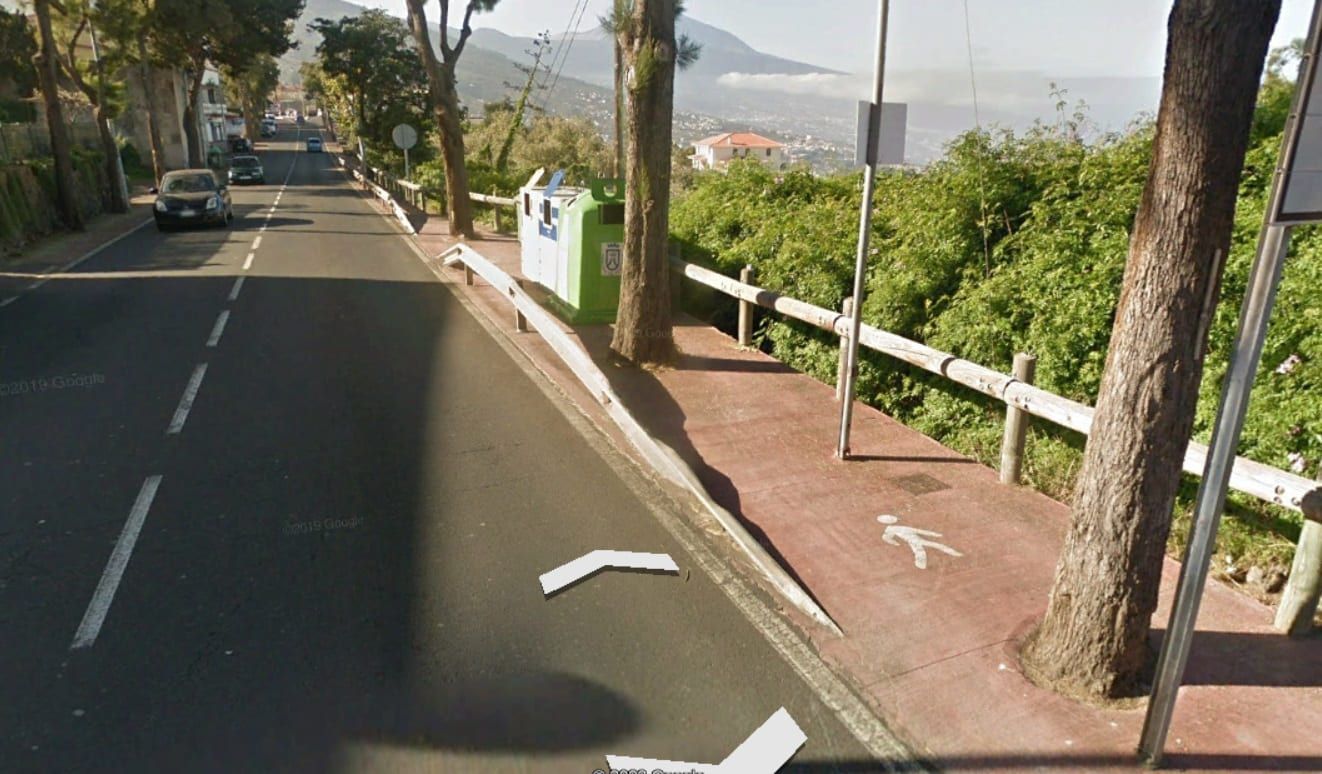 El Cabildo eliminará once árboles de la carretera TF-21 en el término municipal de La Orotava