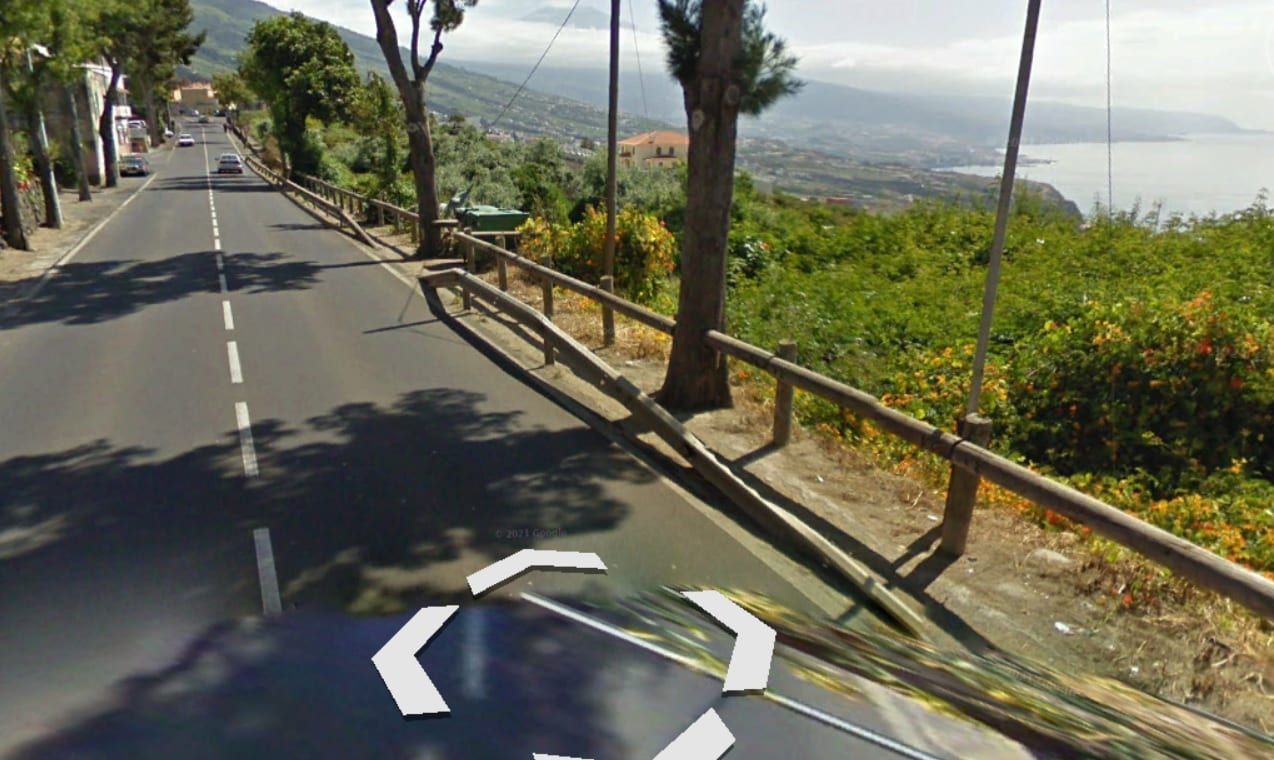El Cabildo eliminará once árboles de la carretera TF-21 en el término municipal de La Orotava