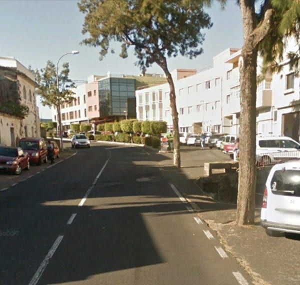 El Cabildo eliminará once árboles de la carretera TF-21 en el término municipal de La Orotava