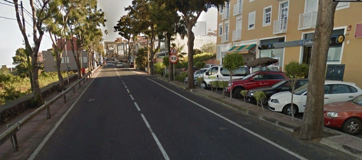 El Cabildo eliminará once árboles de la carretera TF-21 en el término municipal de La Orotava