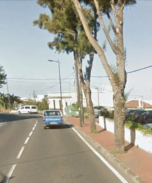 El Cabildo eliminará once árboles de la carretera TF-21 en el término municipal de La Orotava