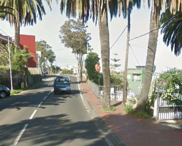 El Cabildo eliminará once árboles de la carretera TF-21 en el término municipal de La Orotava