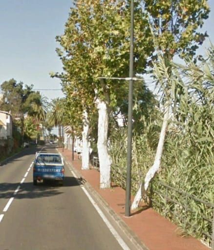 El Cabildo eliminará once árboles de la carretera TF-21 en el término municipal de La Orotava