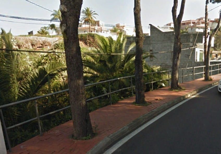 El Cabildo eliminará once árboles de la carretera TF-21 en el término municipal de La Orotava