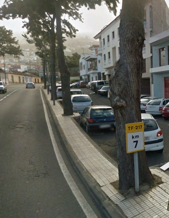 El Cabildo eliminará once árboles de la carretera TF-21 en el término municipal de La Orotava