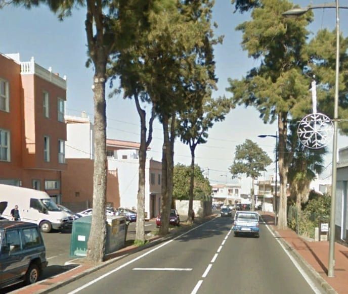 El Cabildo eliminará once árboles de la carretera TF-21 en el término municipal de La Orotava