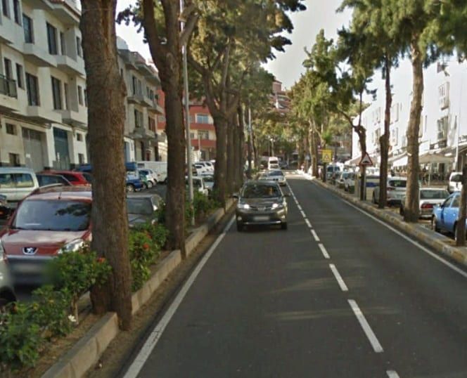 El Cabildo eliminará once árboles de la carretera TF-21 en el término municipal de La Orotava