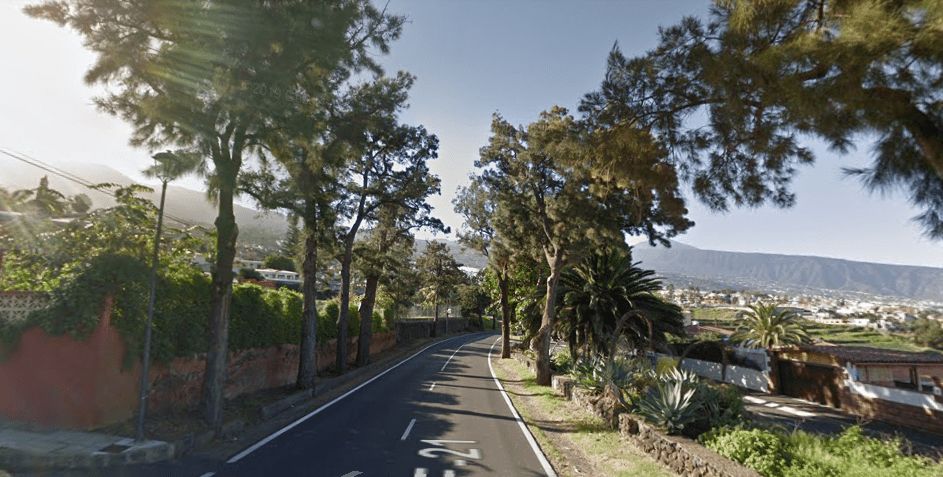 El Cabildo eliminará once árboles de la carretera TF-21 en el término municipal de La Orotava
