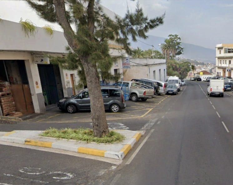 El Cabildo eliminará once árboles de la carretera TF-21 en el término municipal de La Orotava