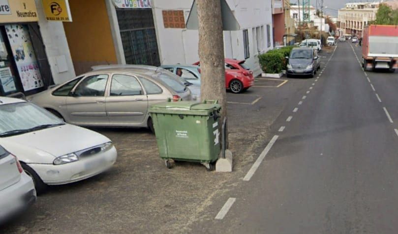 El Cabildo eliminará once árboles de la carretera TF-21 en el término municipal de La Orotava