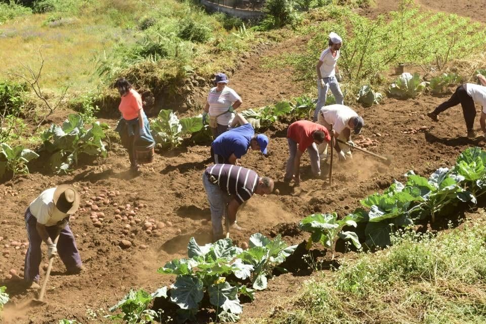 La manifestación del 24 de febrero, el sector primario en La Orotava y la soberanía alimentaria en Canarias