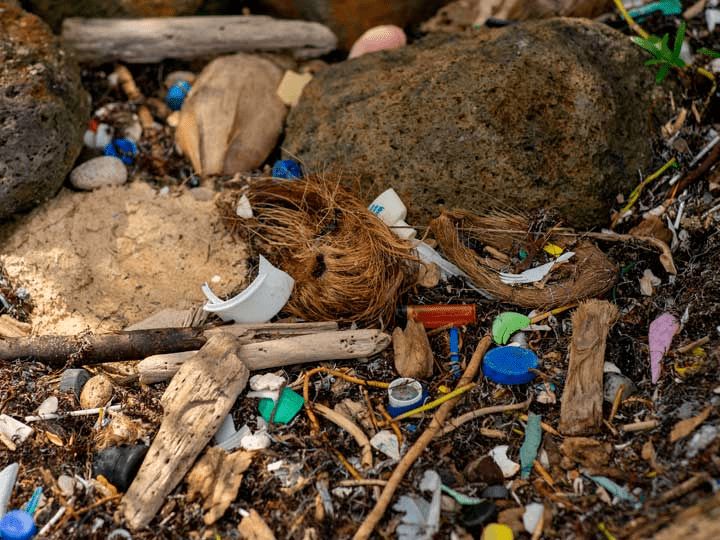 Moción para reducir el riesgo de contaminación marina por microplásticos y otras sustancias